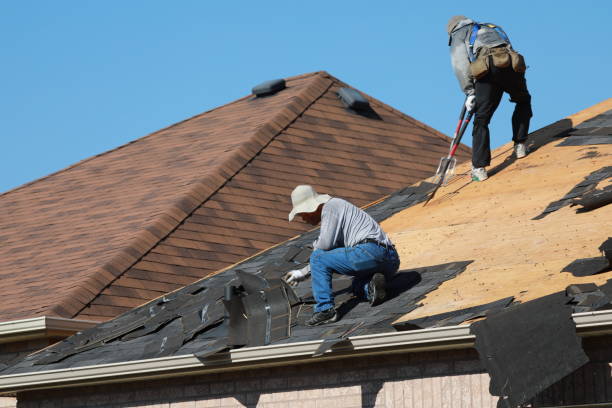 Best Roof Ventilation Installation  in Chaffee, MO