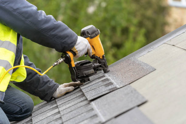 Best Roof Moss and Algae Removal  in Chaffee, MO